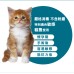 Breeder Celect 環保紙粒 (較大粒)  Cat Litter 30L