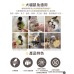咖啡獅綜合蔬菜凍乾 (綠櫛瓜+花椰菜+金南瓜) 15g
