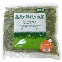 Wooly 高原早割燕麥草 400g